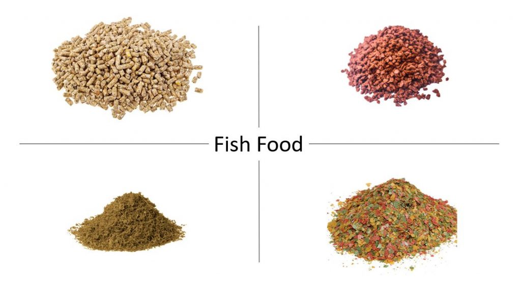 Tropical Foods