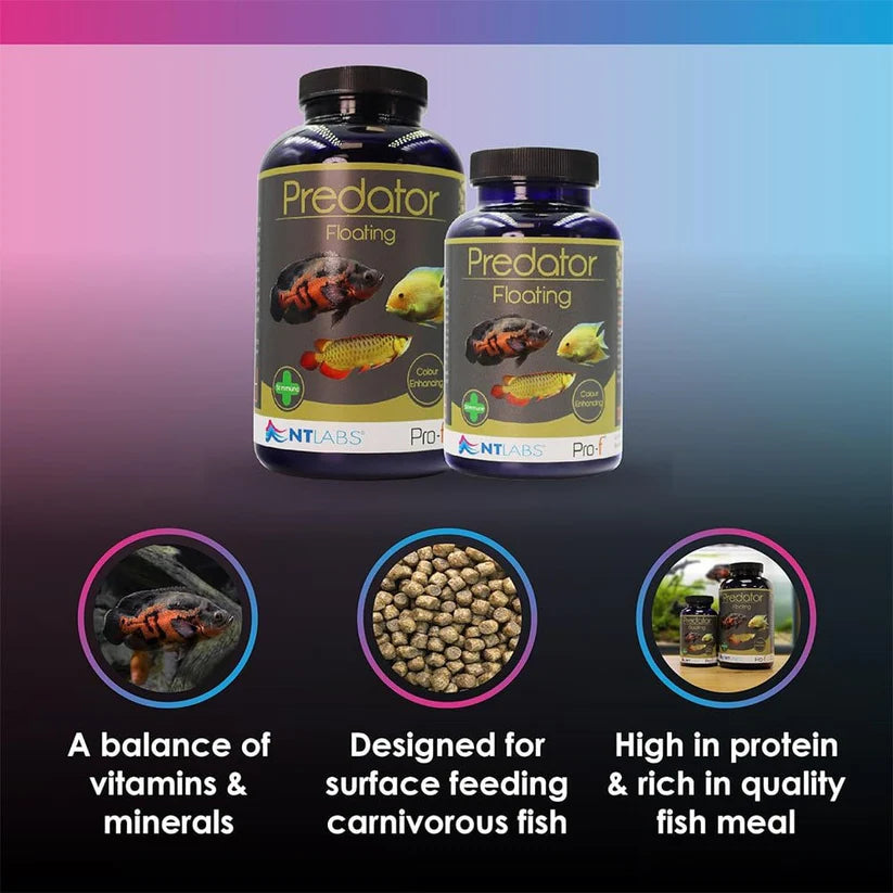 Nt Pro - F Predator Floating pellets 125G