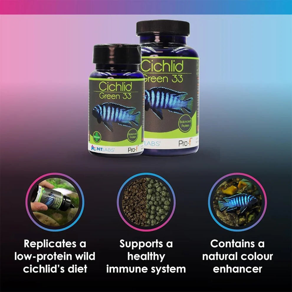NT Labs Pro-F Cichlid Green 33 100g