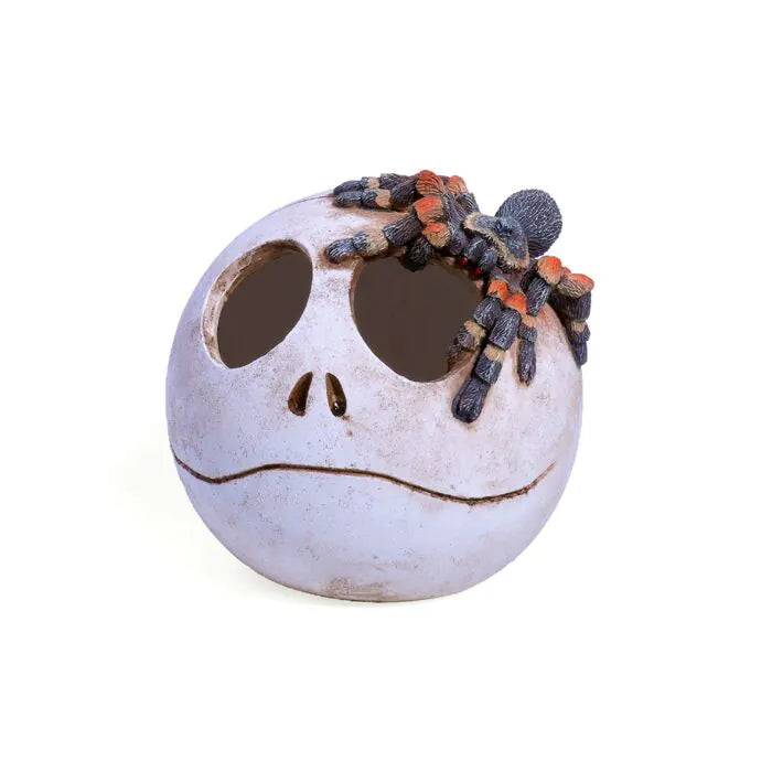 Aqua One Tarantula's Ghost Skull Hide 12x11.5x12cm