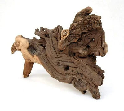 Mopani Aquarium Wood XS Size (10–15cm) – Ideal for Shrimp Tanks & Aquascaping