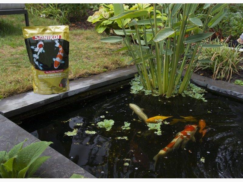 Velda SaniKoi Protein Plus 3mm - 3L