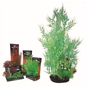 Hugo Boxed Plant Mix 1 35Cm