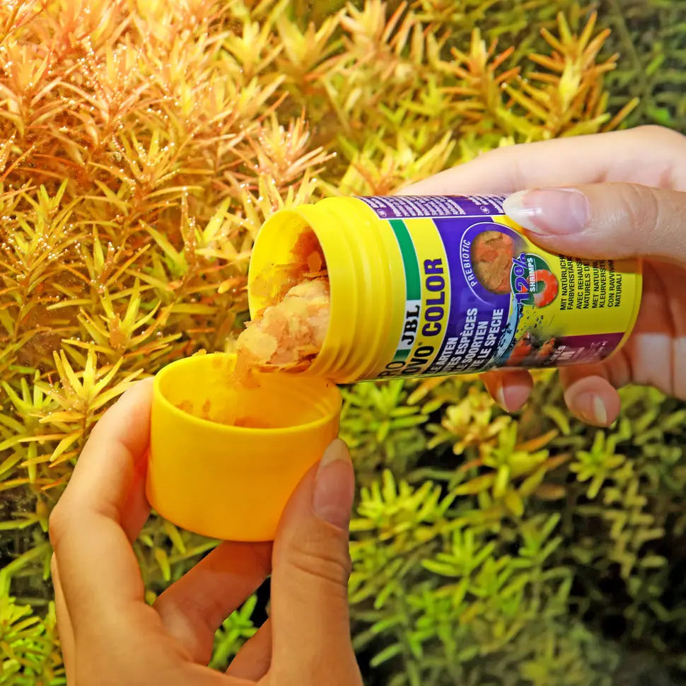 JBL PRONOVO COLOR FLAKES M 100ml