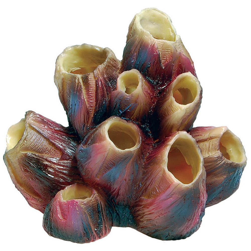 Aqua Spectra Coral Barnacle 14 x 8 x 12cm