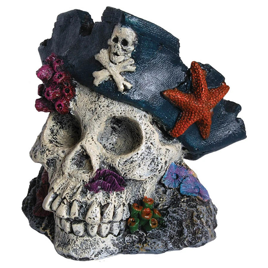 Aqua Spectra Skull with Pirate Hat 15 x 14 x 14.5cm