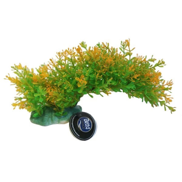 BETTA CHOICE 9" GREEN & YELLOW BENDY BRANCH