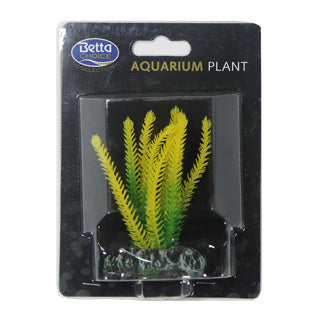 Betta Choice 10cm Yellow Densa plant