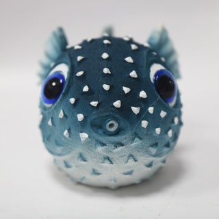 Betta Blue Puffer Fish