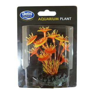 Betta Choice 9cm Red Mushroom