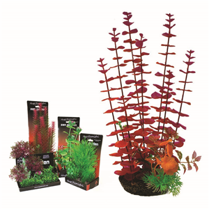 Hugo Boxed Plant Mix 5 35Cm