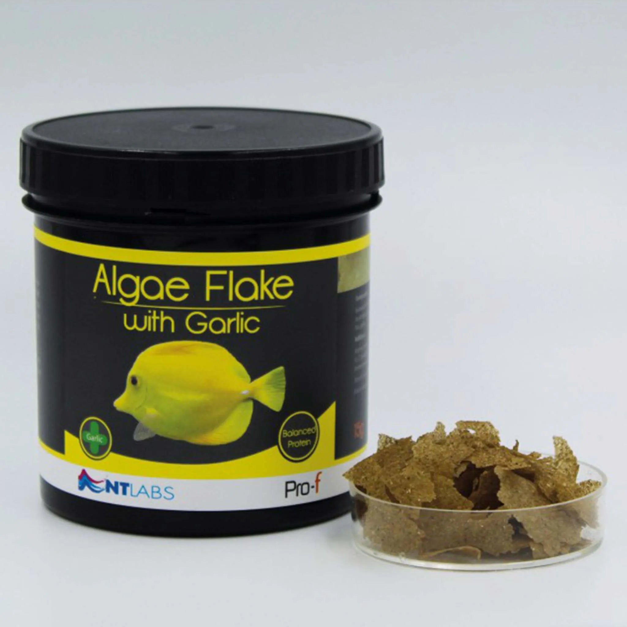 NT Labs Pro-F Algae Flake Food with Garlic