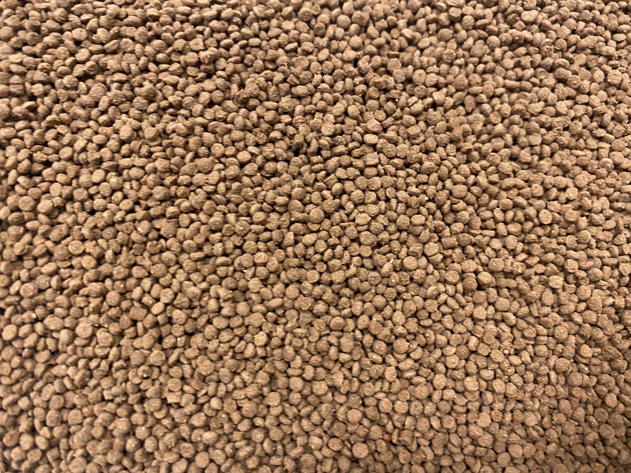 fish science fancy goldfish sink 150g