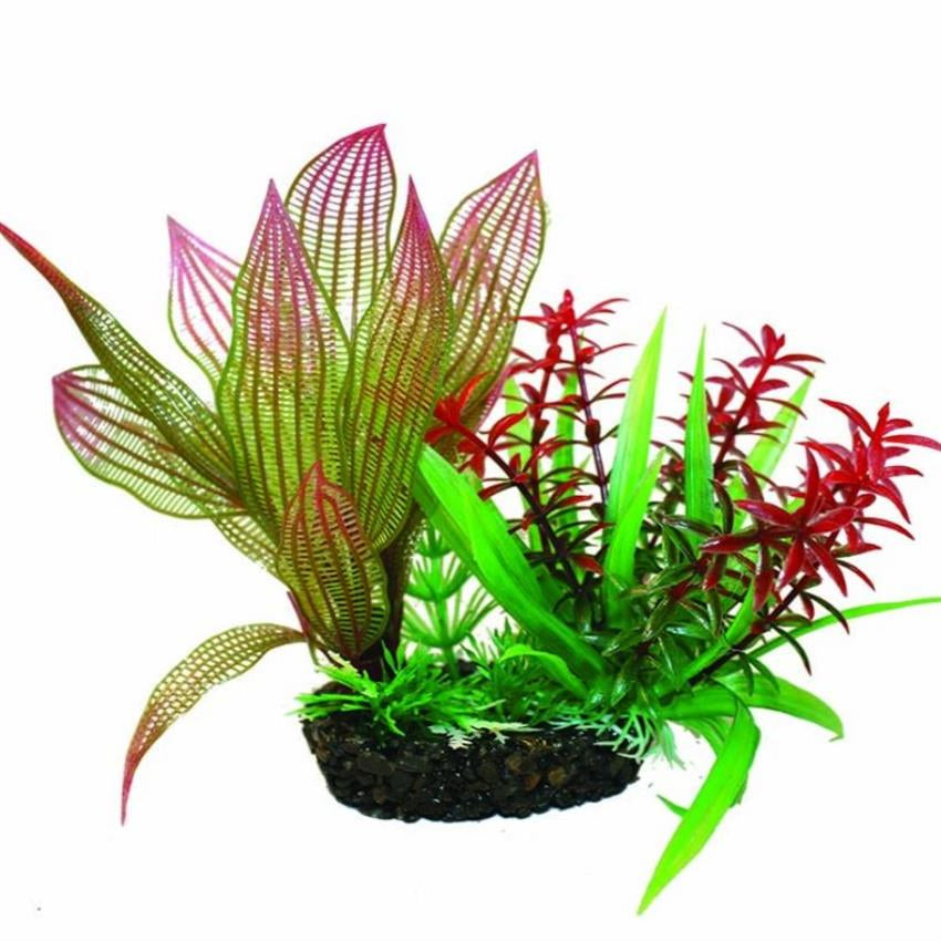 Hugo Kamishi Boxed Plant Mix 1