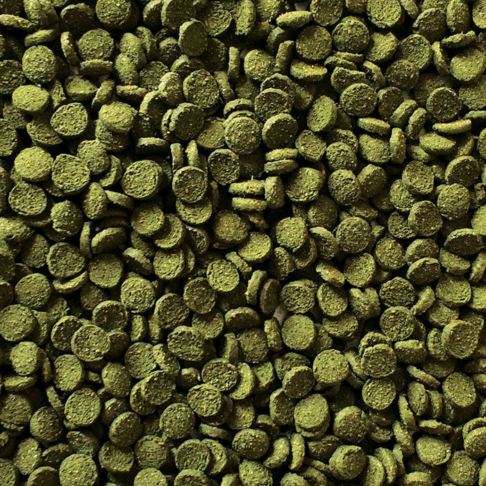 Fishscience Mini Algae Wafers 110G