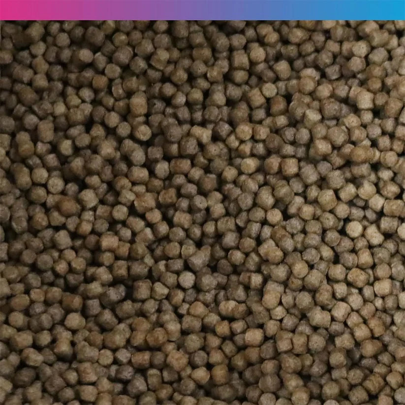 NT Labs Medikoi Wheatgerm With Garlic 3mm 700g