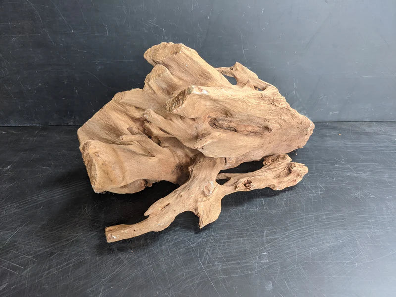 Aqua One Real Wood Mangrove Root 40-60CM