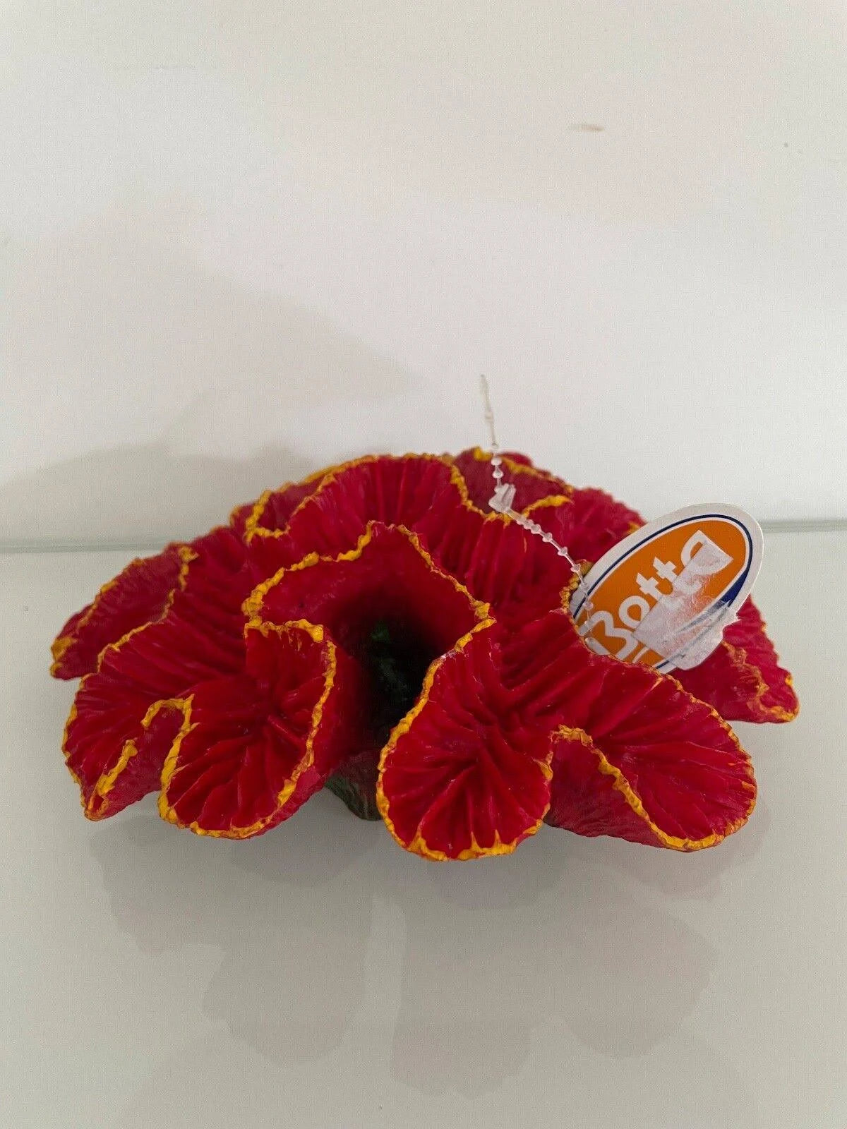 Betta Red Ridge Coral