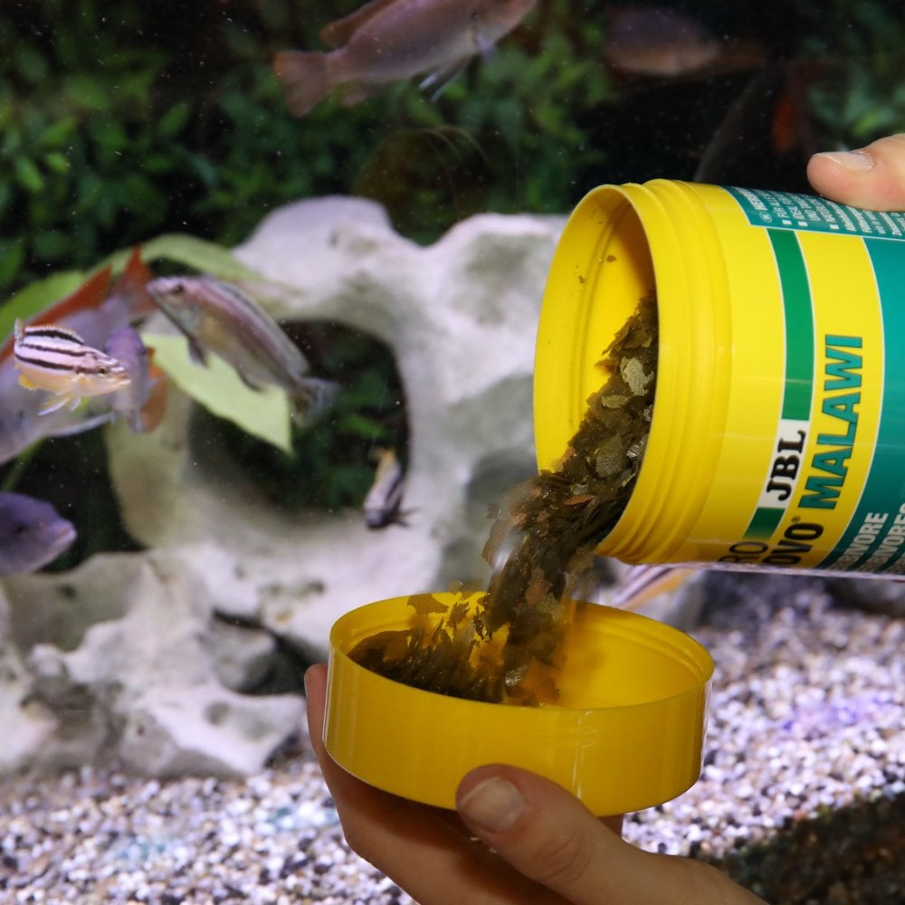 JBL PRONOVO MALAWI FLAKES M 250ml