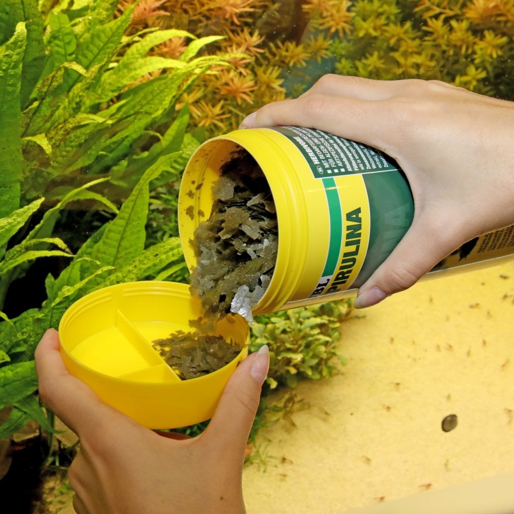 JBL PRONOVO SPIRULINA FLAKES M 1000ml