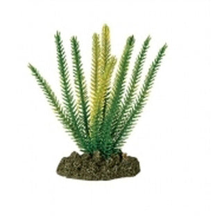 Betta Choice 10cm Yellow Densa plant