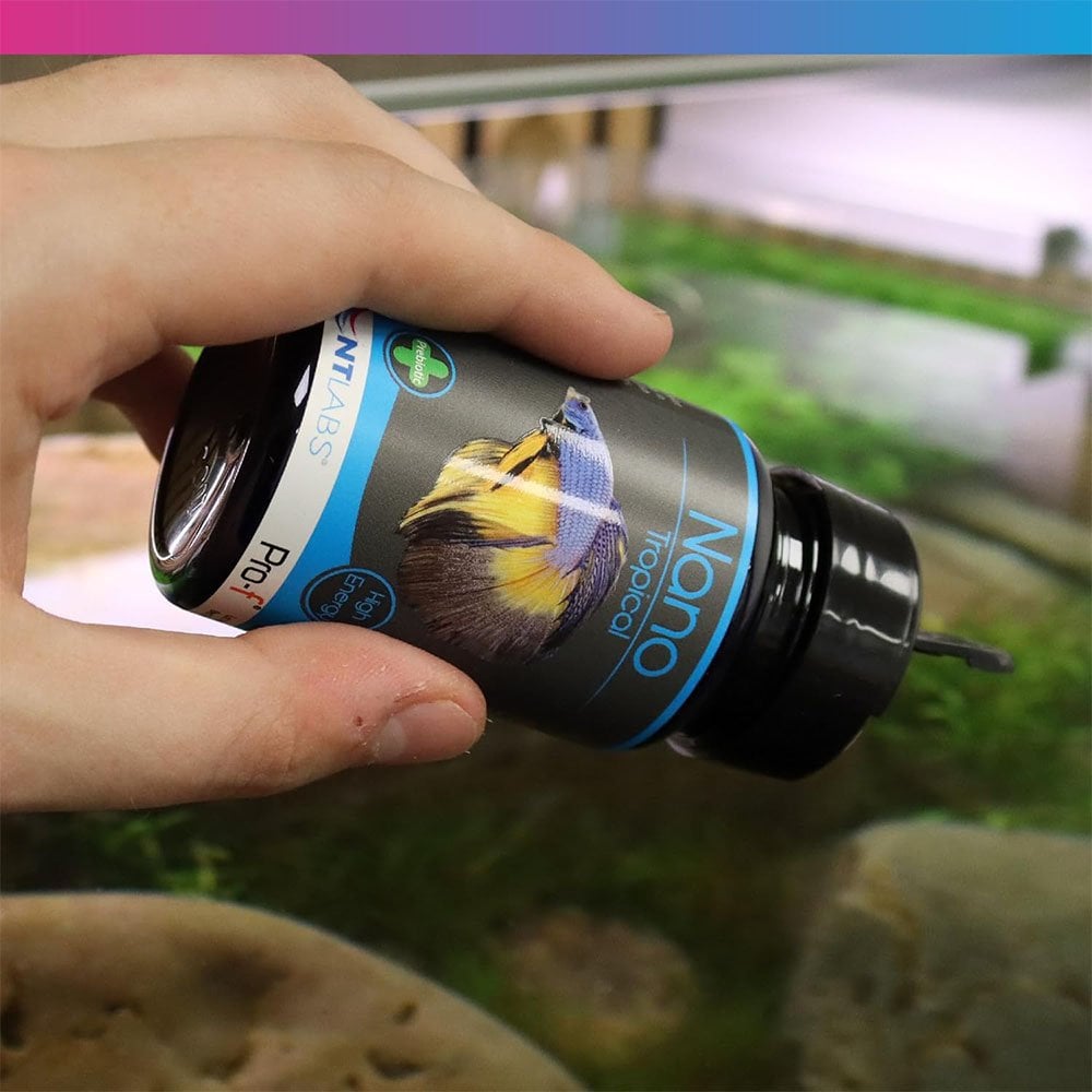 NT Labs Pro-f Nano Tropical Fish Granules 45g