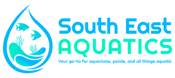 Welcome to South East Aquatics Blog - South East Aquatics