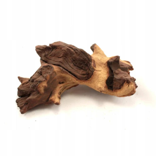 Mopani Aquarium Wood XS Size (10–15cm) – Ideal for Shrimp Tanks & Aquascaping