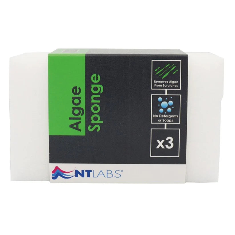 NT Labs ProCare Algae Sponge (3pk)