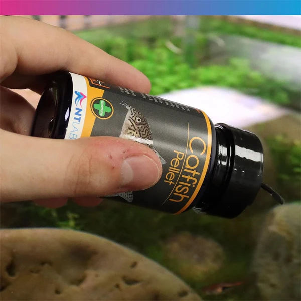 NT Labs Pro-F Catfish Pellet 150g