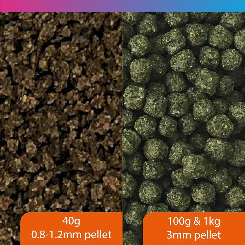 NT Labs Pro-F Cichlid Green 33 100g