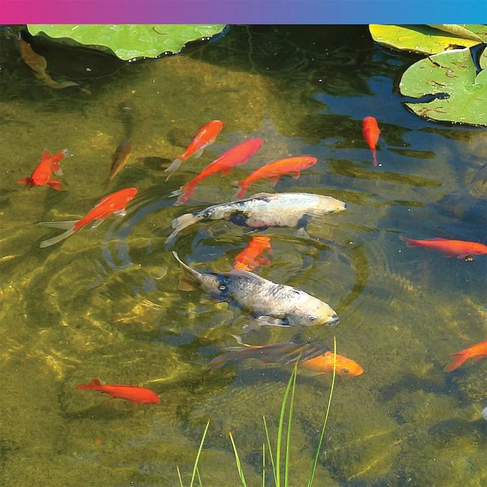 NT Labs Multi Season Pond Food 190G