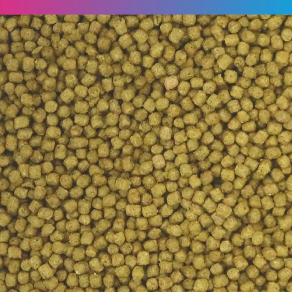 NT Labs Summer Pond Food 350g floating pellets for pond fish