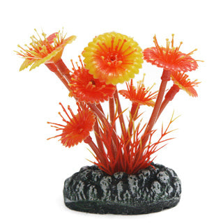 Betta Choice 9cm Red Mushroom