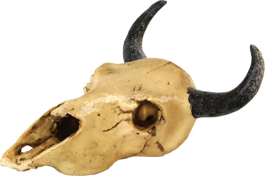 RS Skull Goat