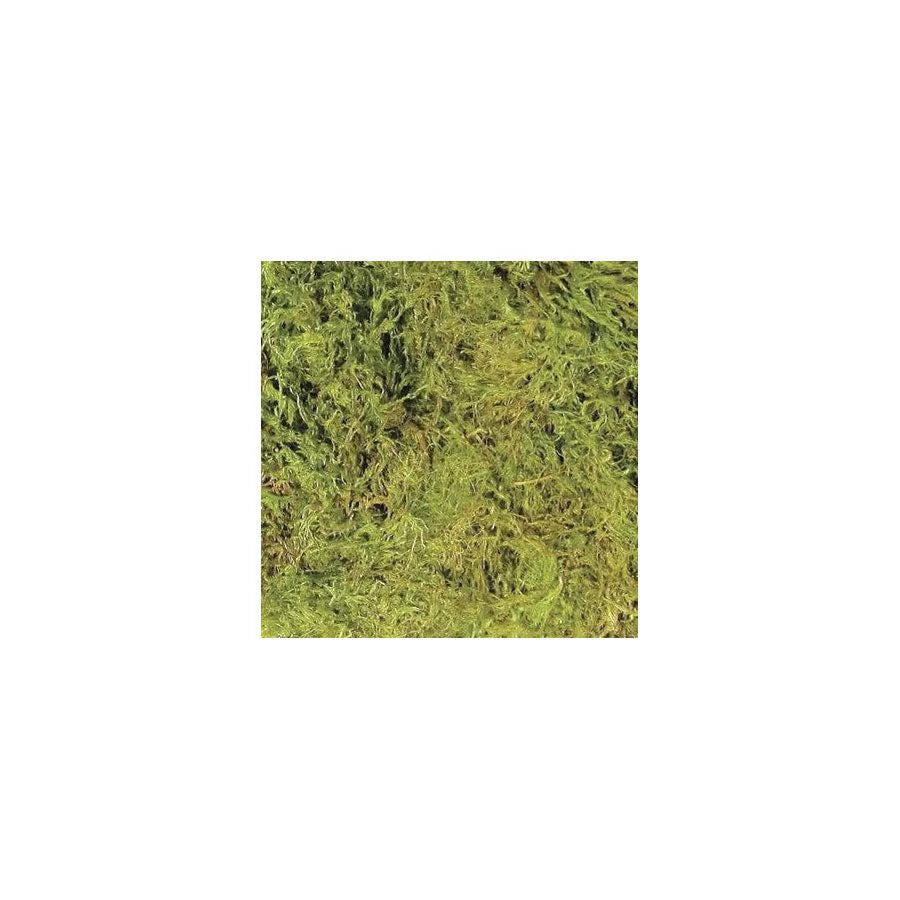 Zoo Med Terrarium Moss Medium (1.8L)