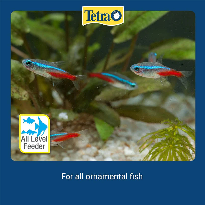 Tetra Fresh Delica Bloodworms 16 x 3g