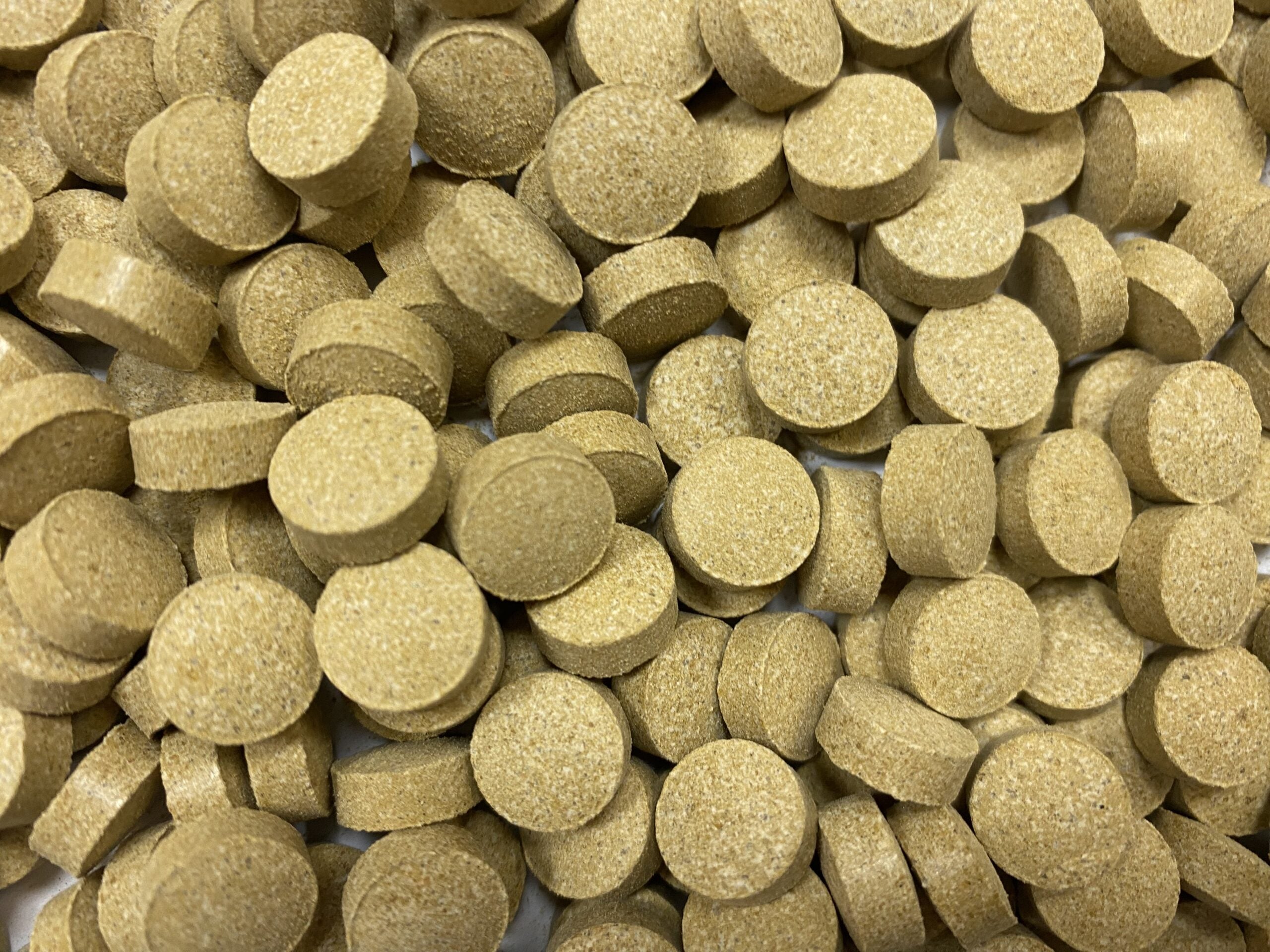 Fishscience Corydoras Tablet 150g