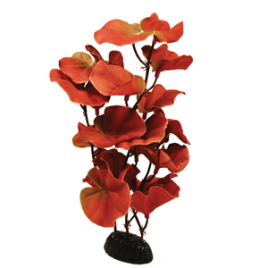 Hugo Cardamine Red Silk 40Cm
