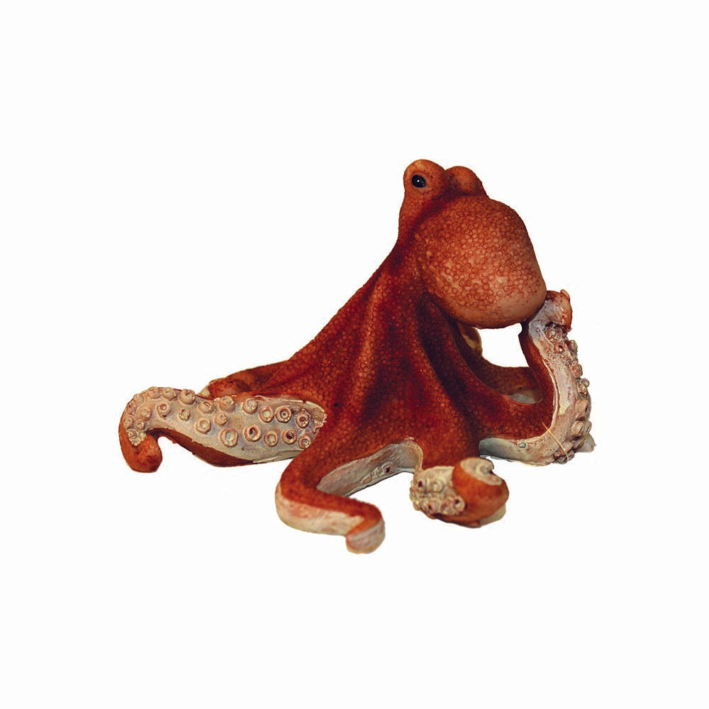 Hugo Kamishi Octopus 15x13x9