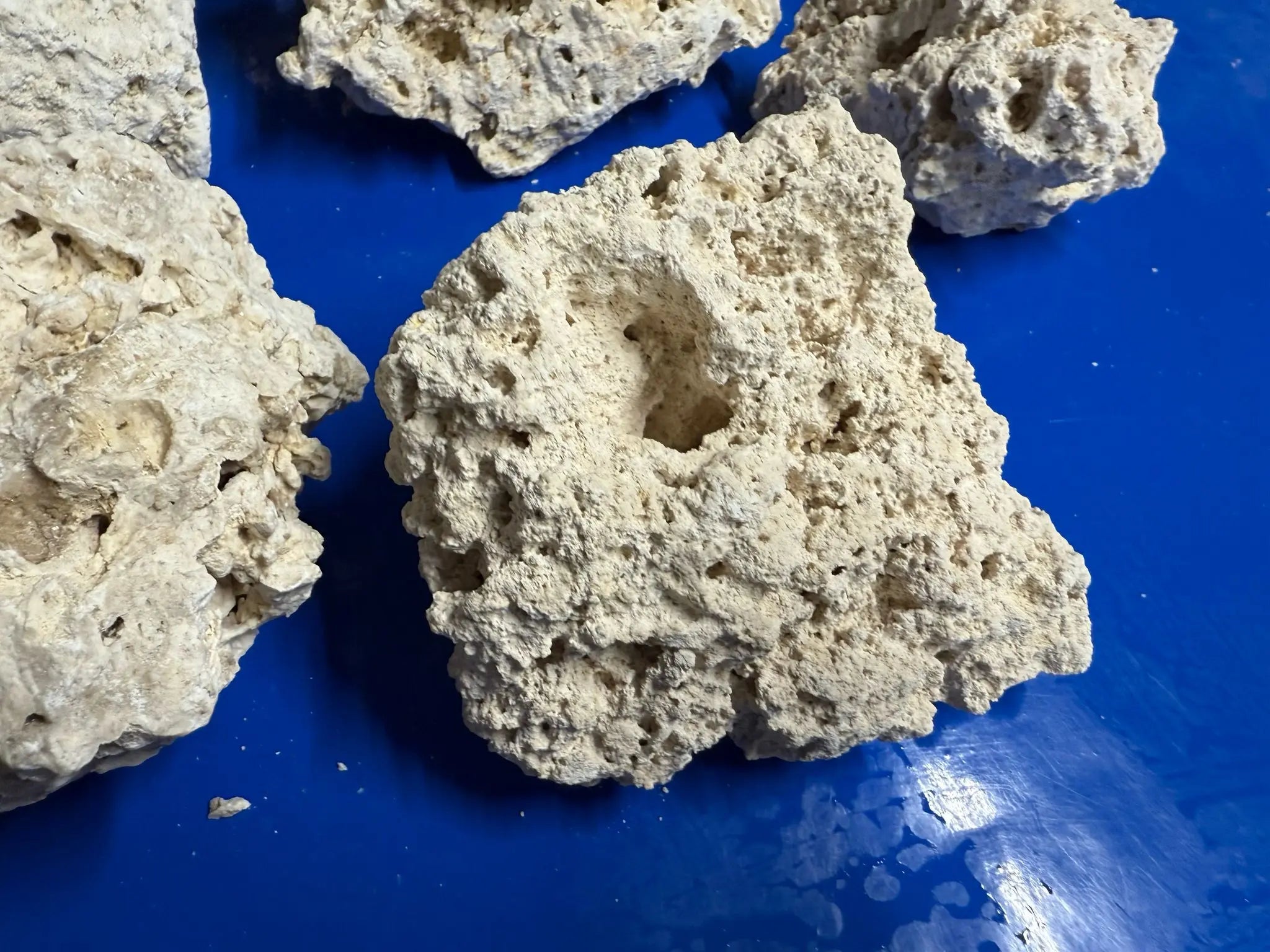 Dry Reefrock 20kg Box