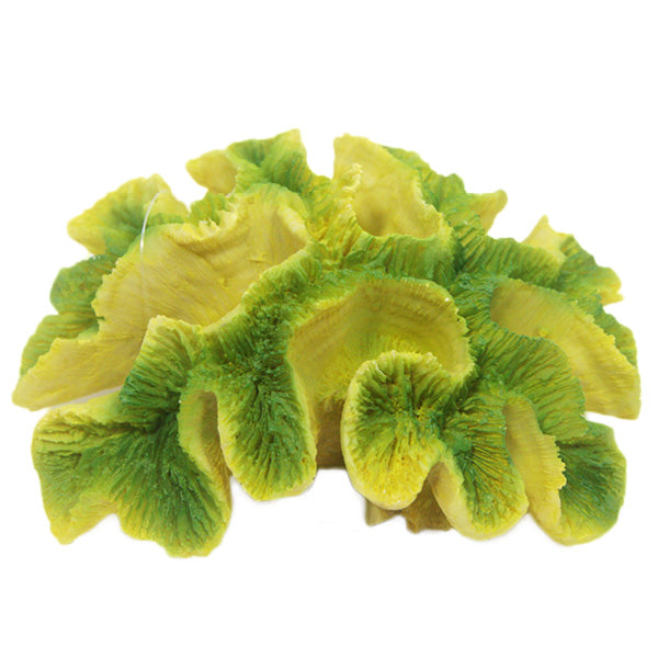 Betta Yellow / Green Ridge Coral