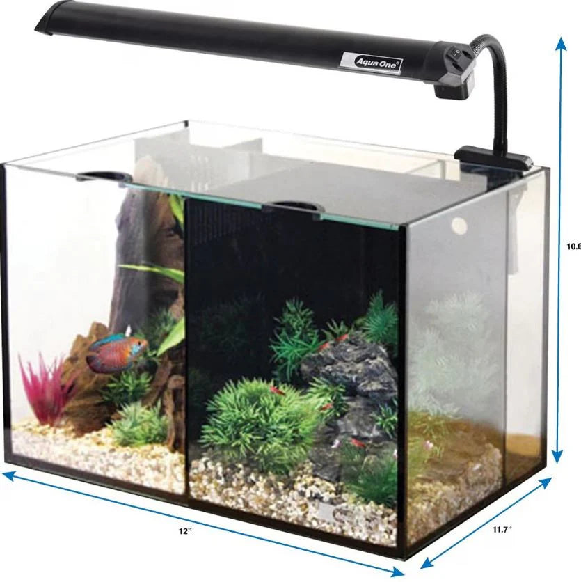 Aqua One Betta Duo Glass Aquarium Black LED 20L