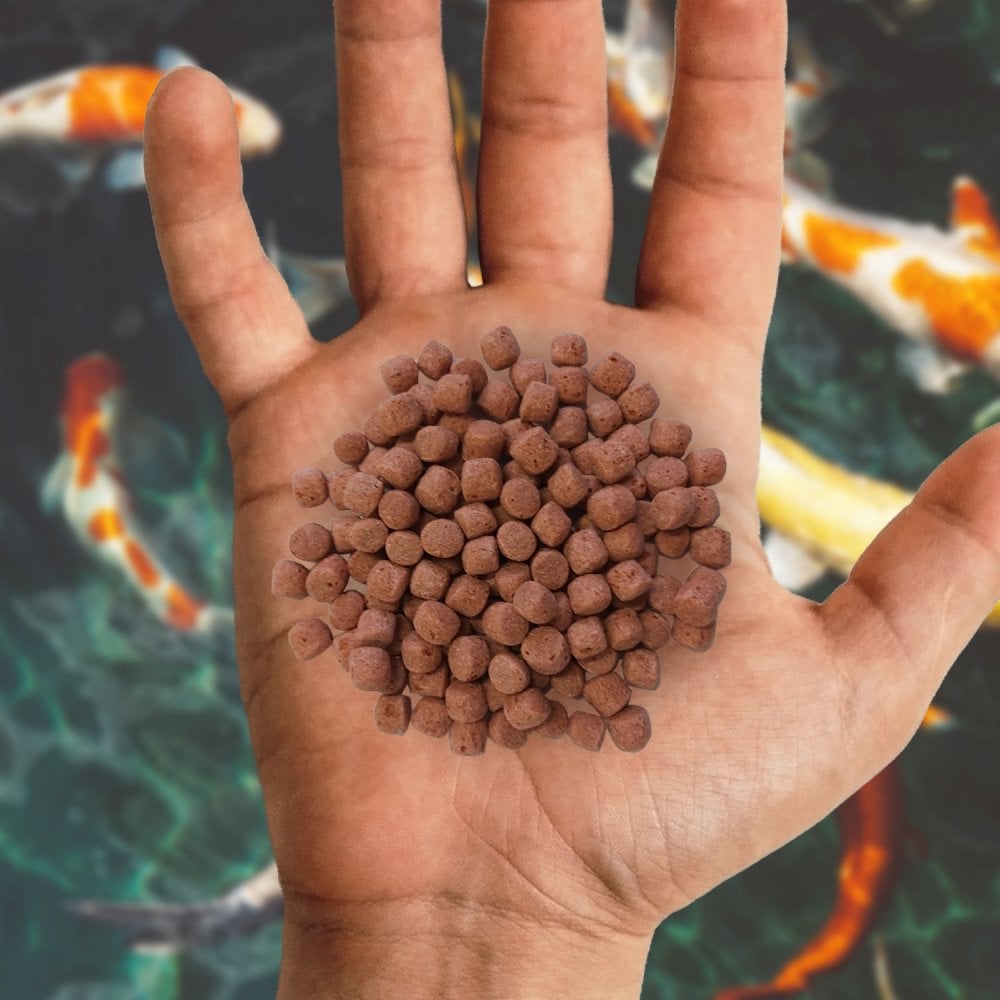 NISHIKOI GROWTH 4MM MED 350G