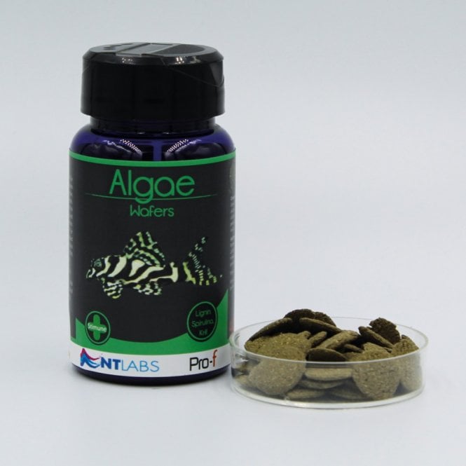 NT LABS Pro-f Algae Wafers - 110g
